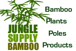 Jungle Supply Bamboo